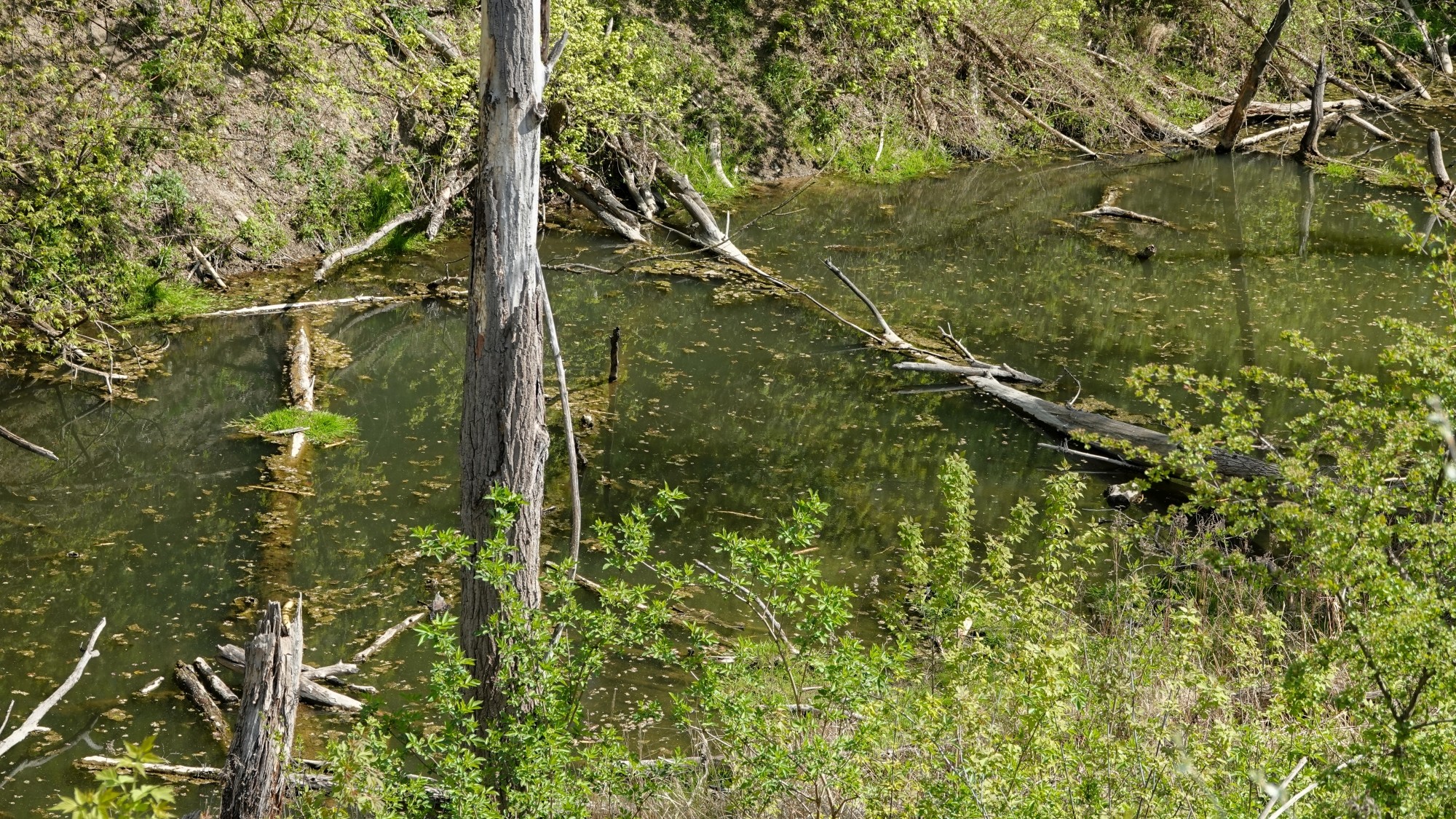 Kwiecień w obiektywie - zdjęcie 71