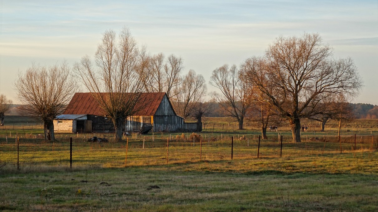 Listopad w obiektywie - zdjęcie 12