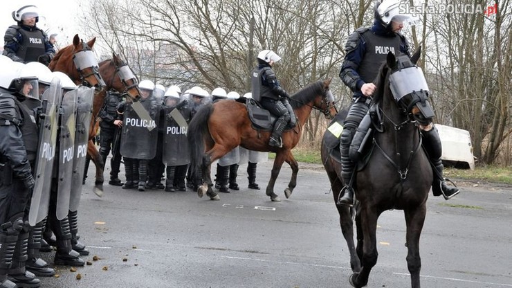 Egzamin policyjnych koni