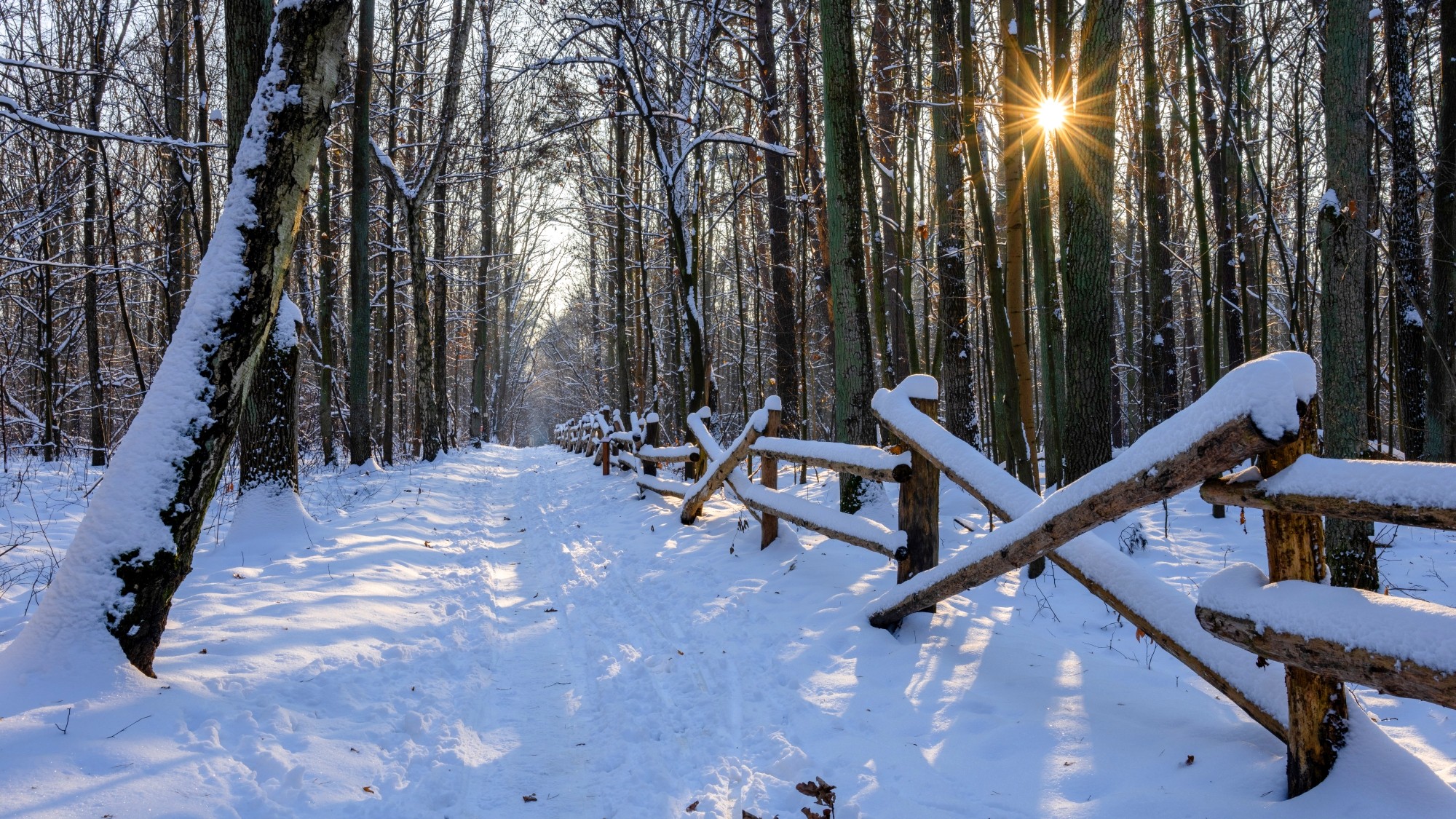 Różne oblicza zimy - zdjęcie 19
