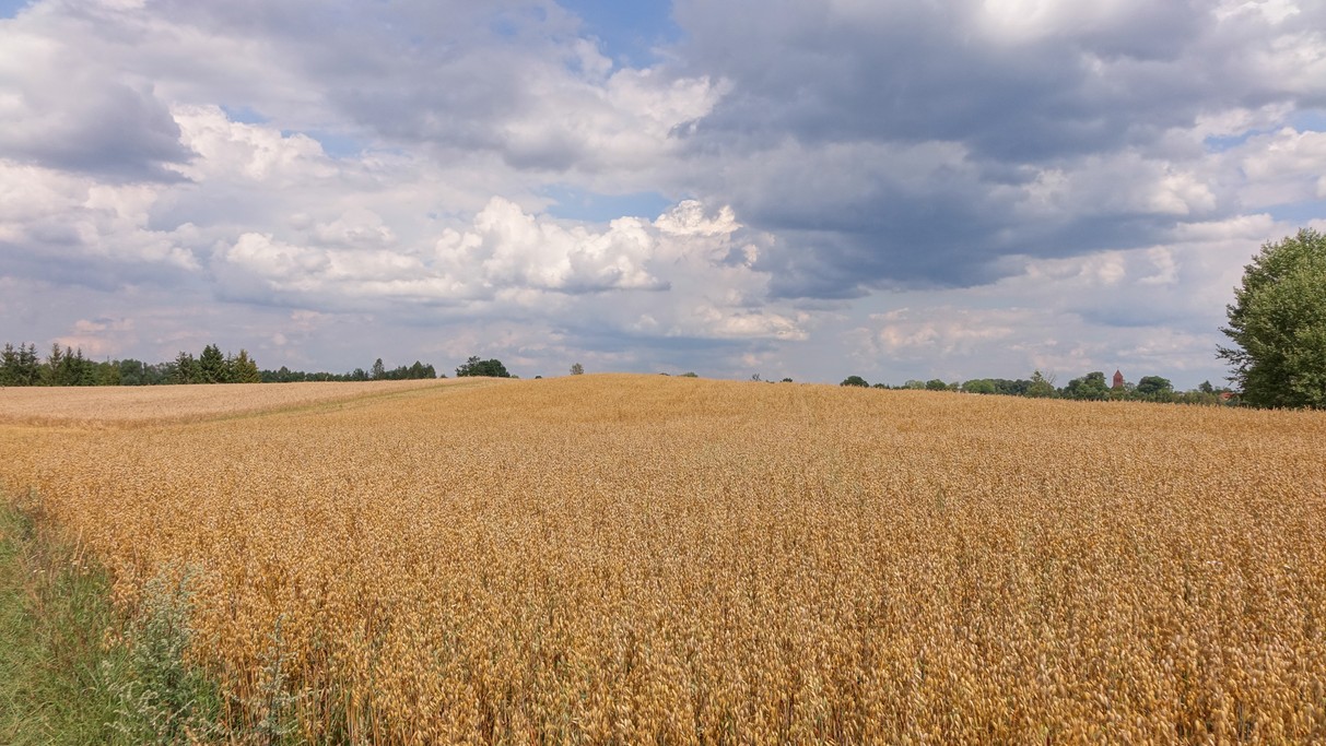 Lipiec w obiektywie - zdjęcie 49