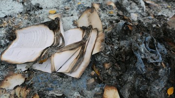 Tysiące spalonych kart do głosowania i akt sądowych znaleziono pod Warszawą
