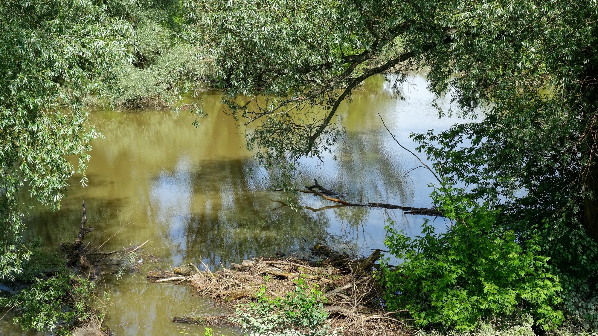 Maj w obiektywie - zdjęcie 22