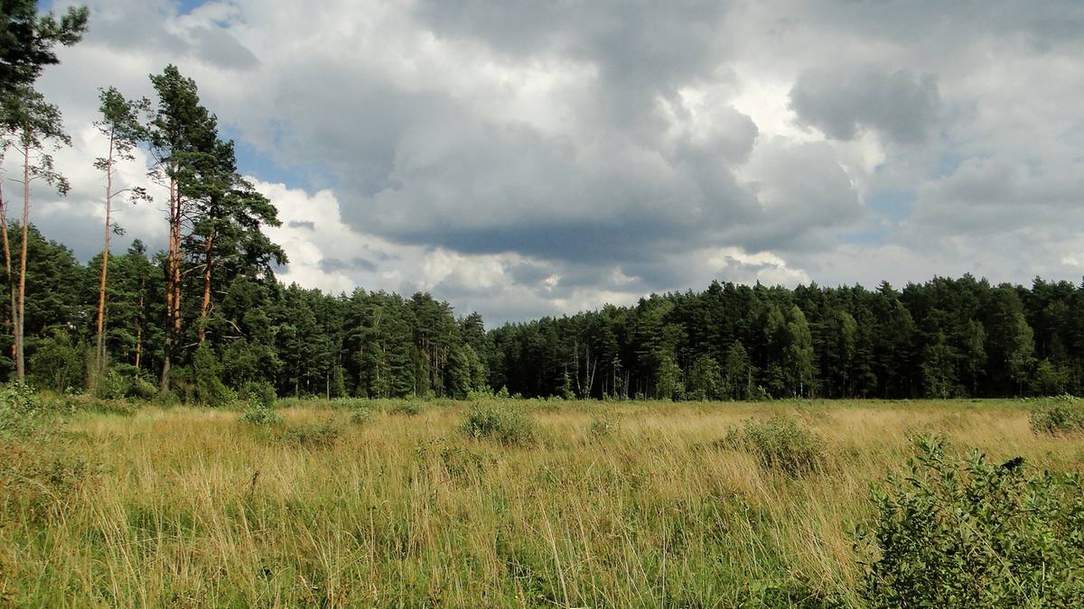 Puszcza Piska