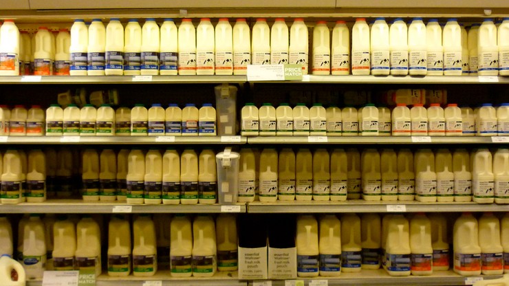 Rolnicy będą produkować mniej mleka - ale chcą pieniędzy