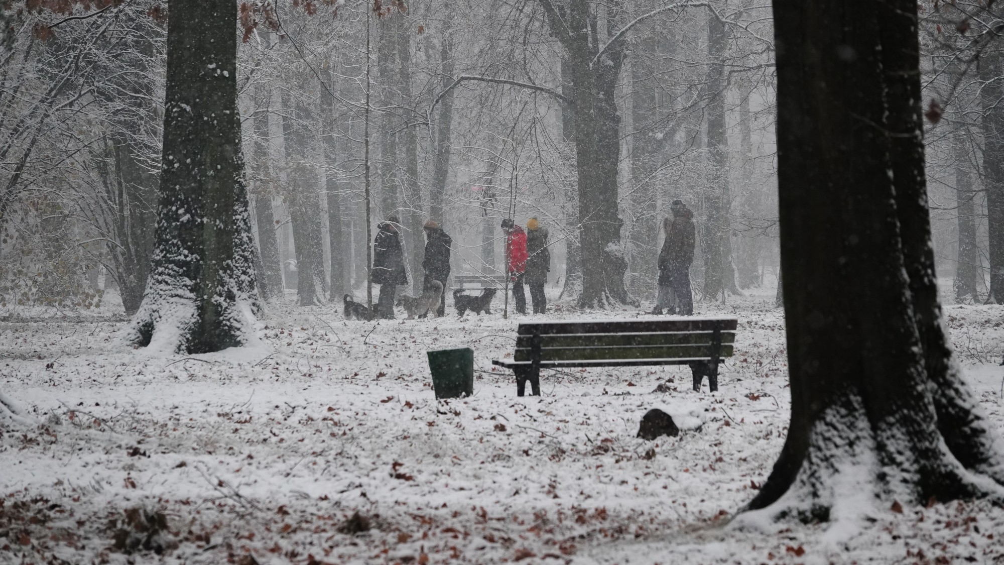 Oblicza zimy - zdjęcie 5