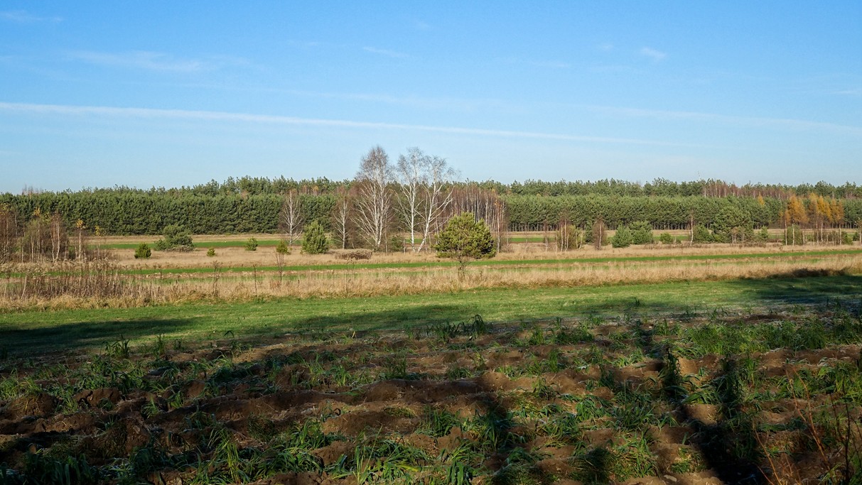 Listopad w obiektywie - zdjęcie 37