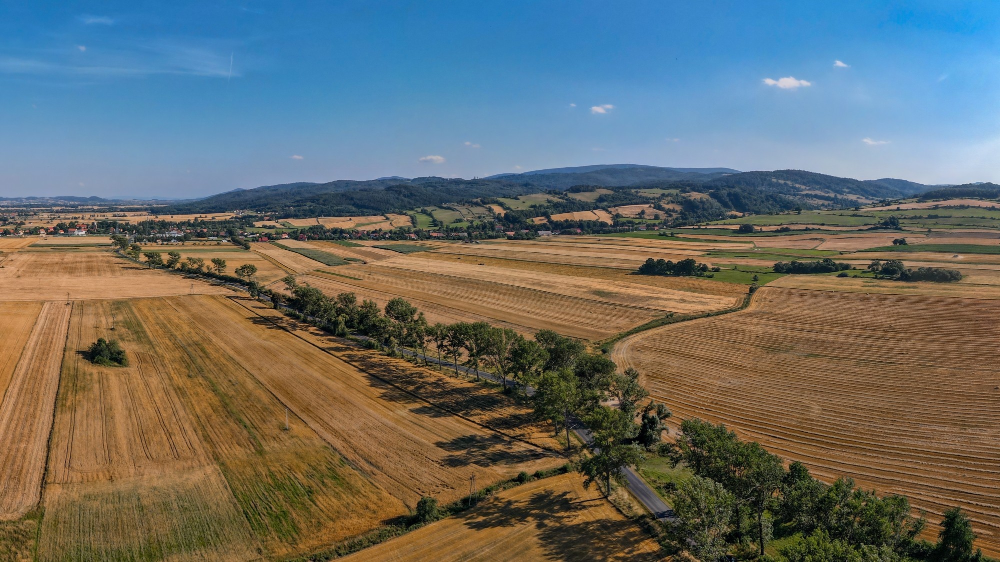 Góry Sowie, Suche i Kamienne - zdjęcie 11