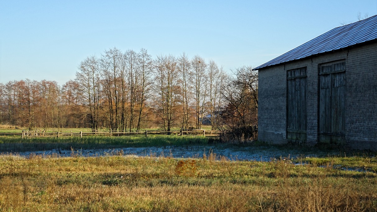 Listopad w obiektywie - zdjęcie 41