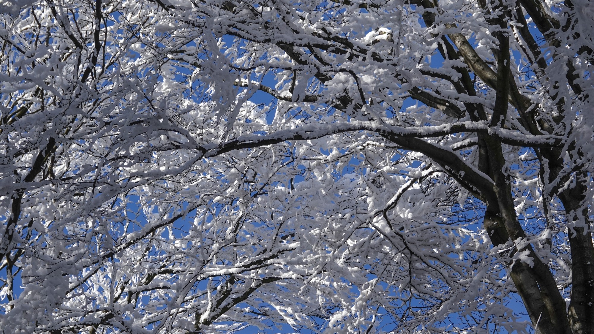 Kraina Narnii - zdjęcie 29