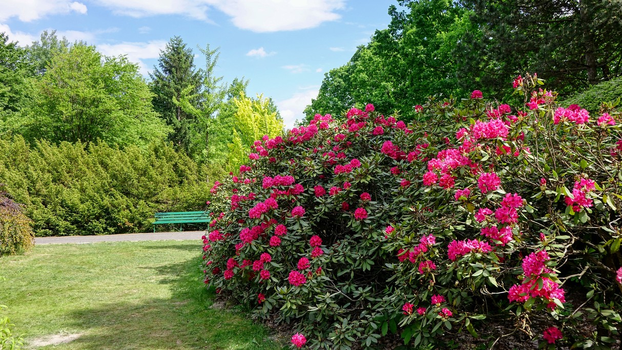 Maj w obiektywie - zdjęcie 7