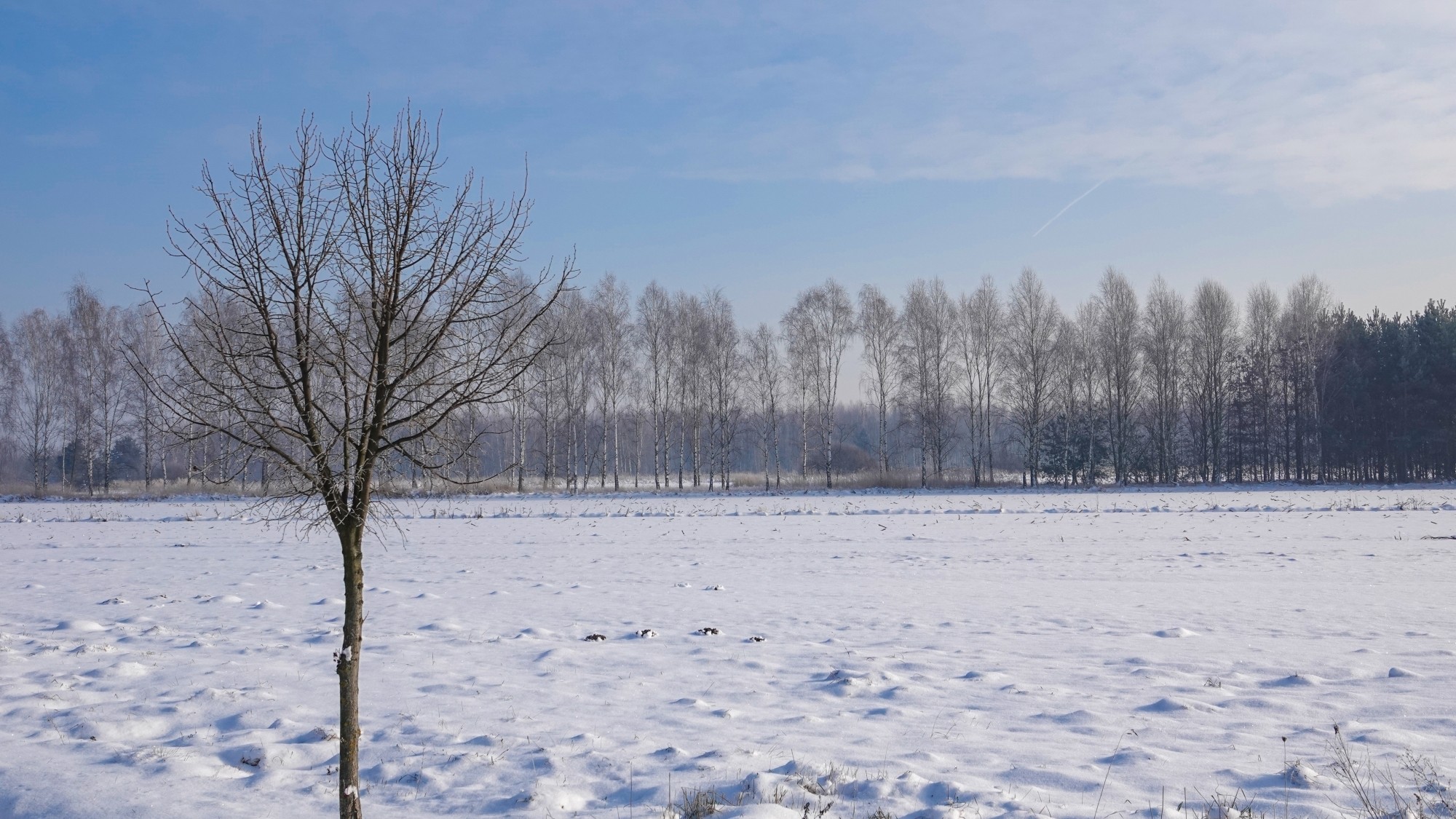 Na lodowym szlaku - zdjęcie 38