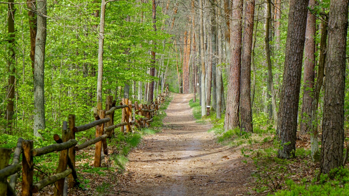 Kwiecień w obiektywie - zdjęcie 37