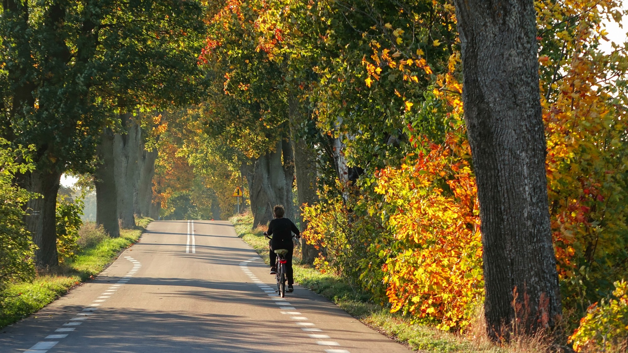 Jesień w górach, lasach i nad jeziorami - zdjęcie 55