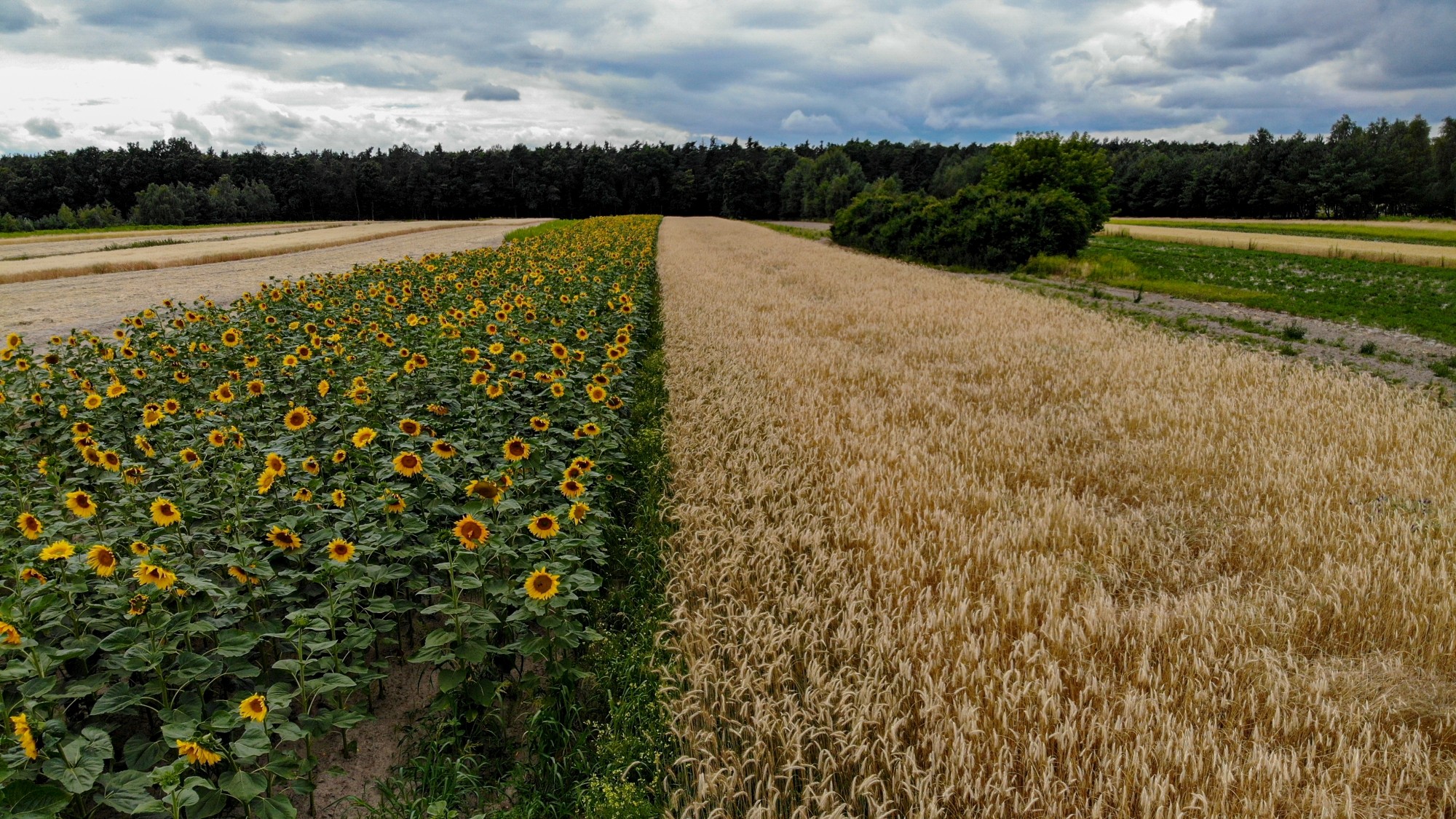 Niesamowita Polska z lotu ptaka - zdjęcie 82