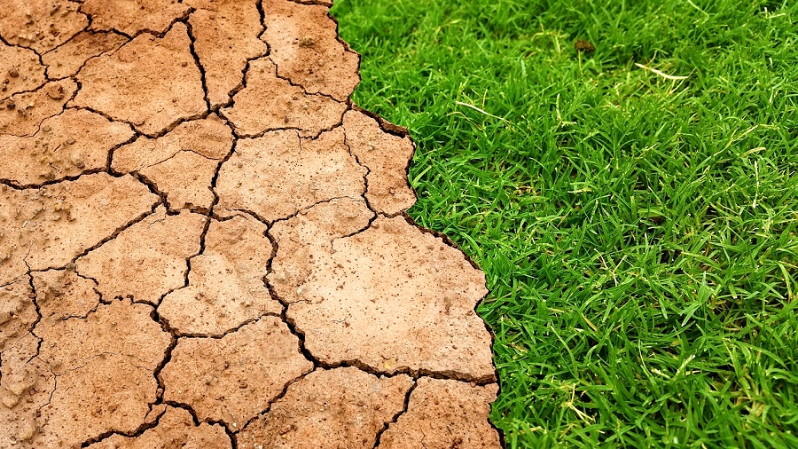 11.06.2018 10:00 Jeszcze latem czeka nas wielki powrót anomalii El Niño? Mogą ucierpieć setki tysięcy ludzi