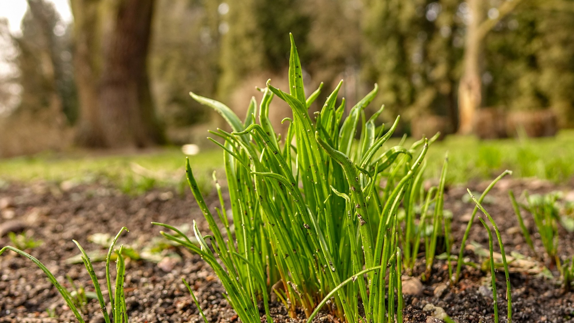Wiosenna pobudka - zdjęcie 12