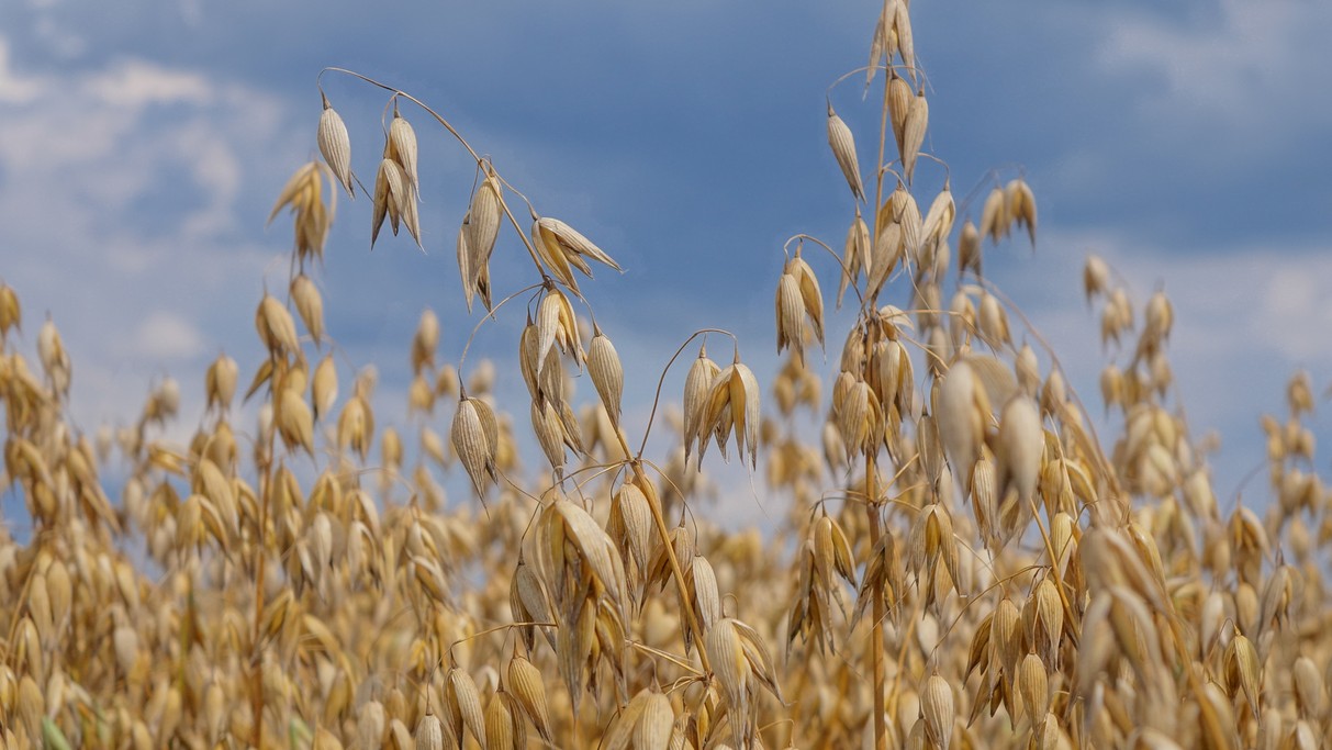 Czerwiec w obiektywie - zdjęcie 17