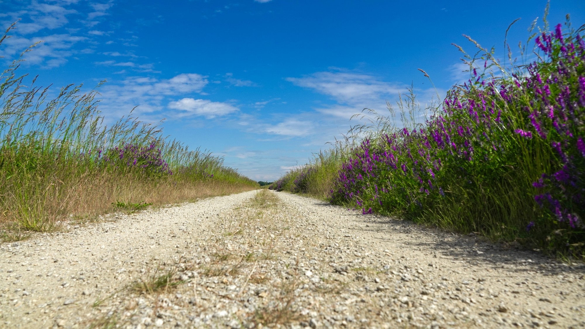 Lato w plenerze - zdjęcie 43