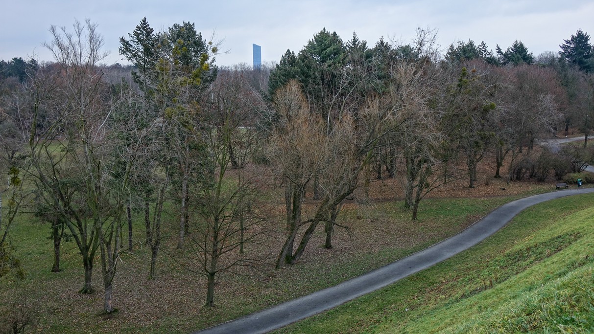 Styczeń w obiektywie - zdjęcie 50