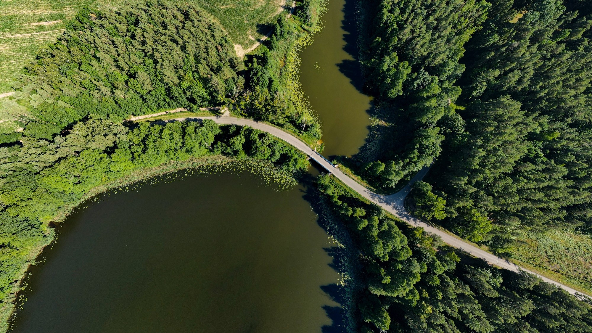 Cuda polskiej natury - zdjęcie 32