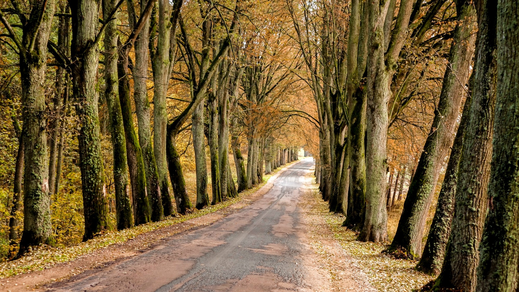 Jesień w górach, lasach i nad jeziorami - zdjęcie 43