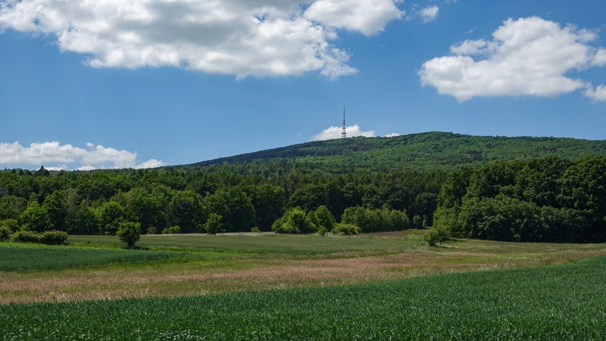 Uroki zielonej pory roku - zdjęcie 74