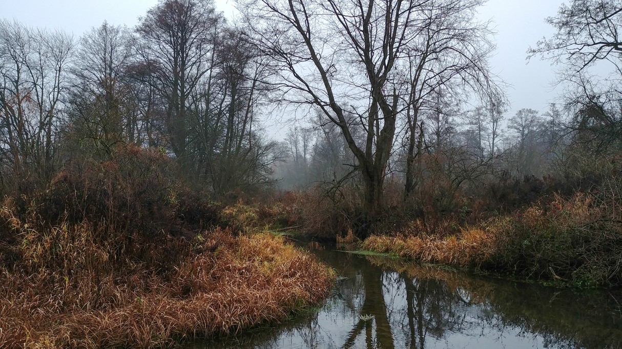 Listopad w obiektywie - zdjęcie 47