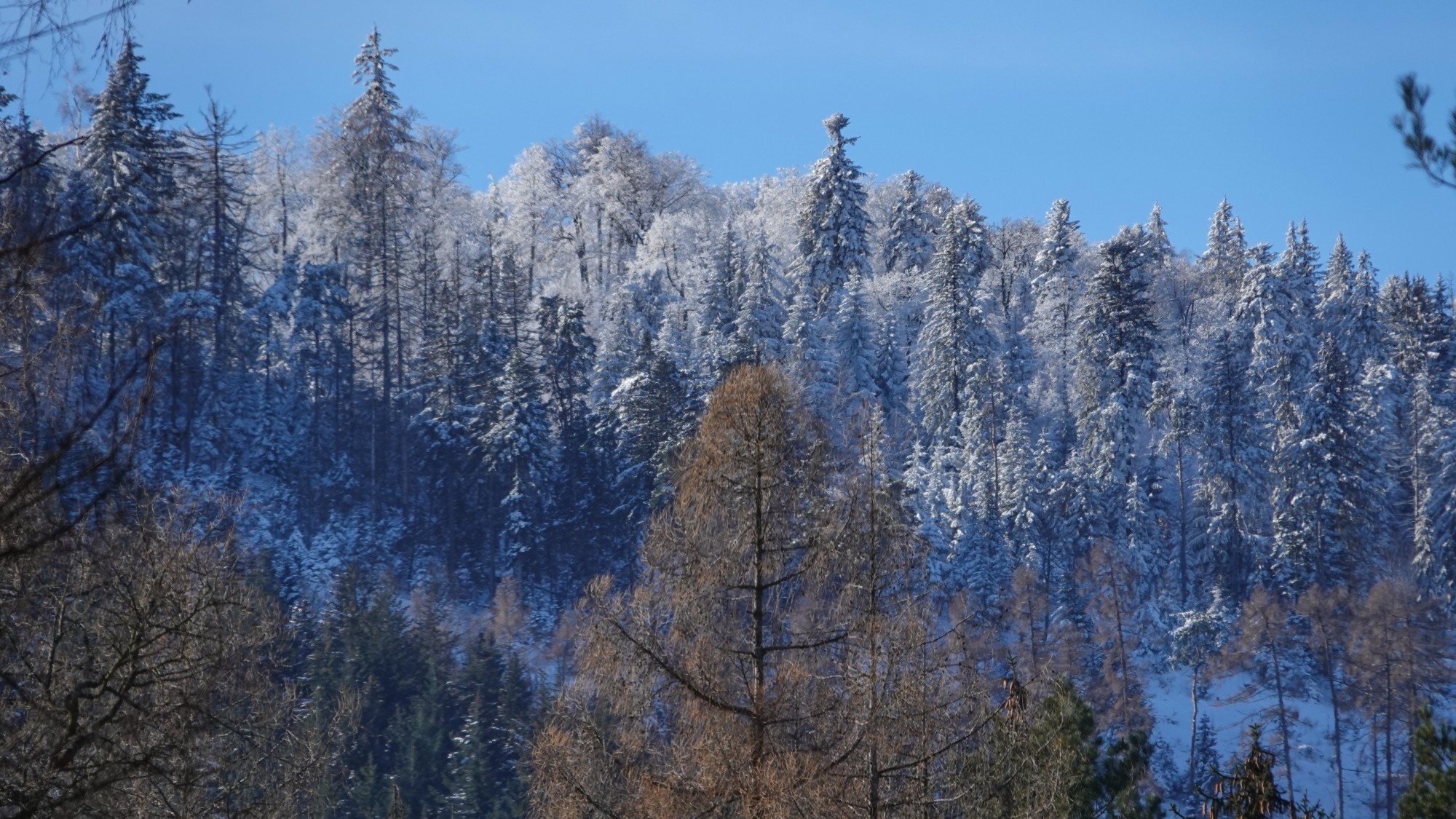 Kraina Narnii - zdjęcie 13