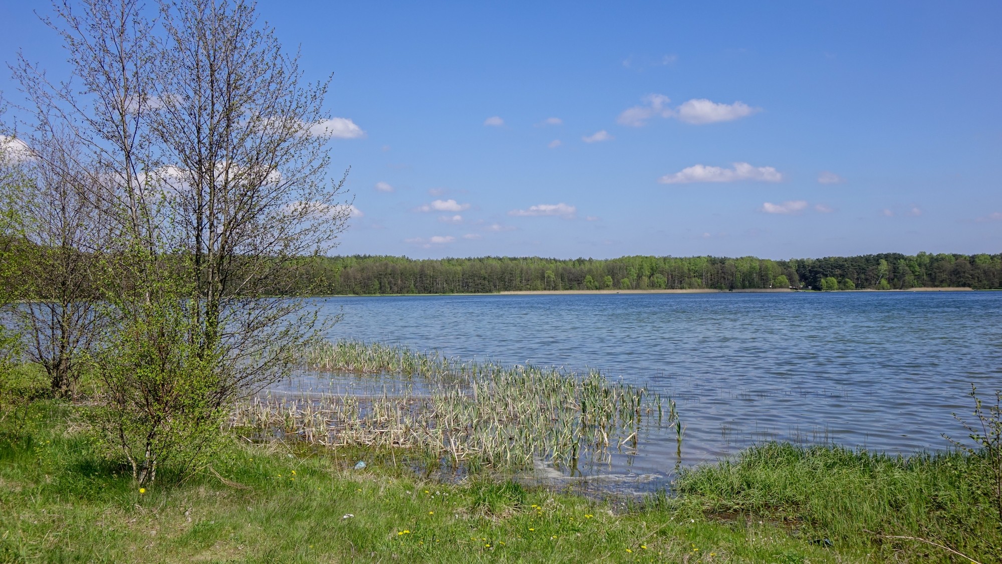 Mazury wiosną - zdjęcie 35