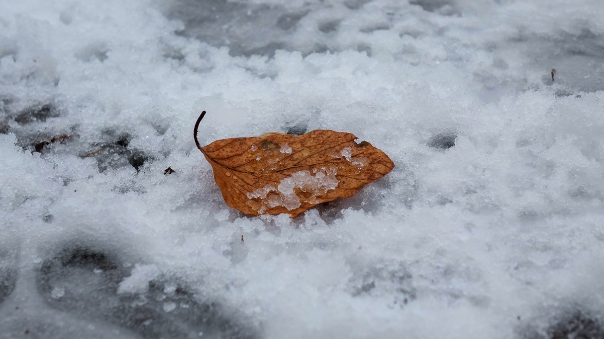 Styczeń w obiektywie - zdjęcie 39