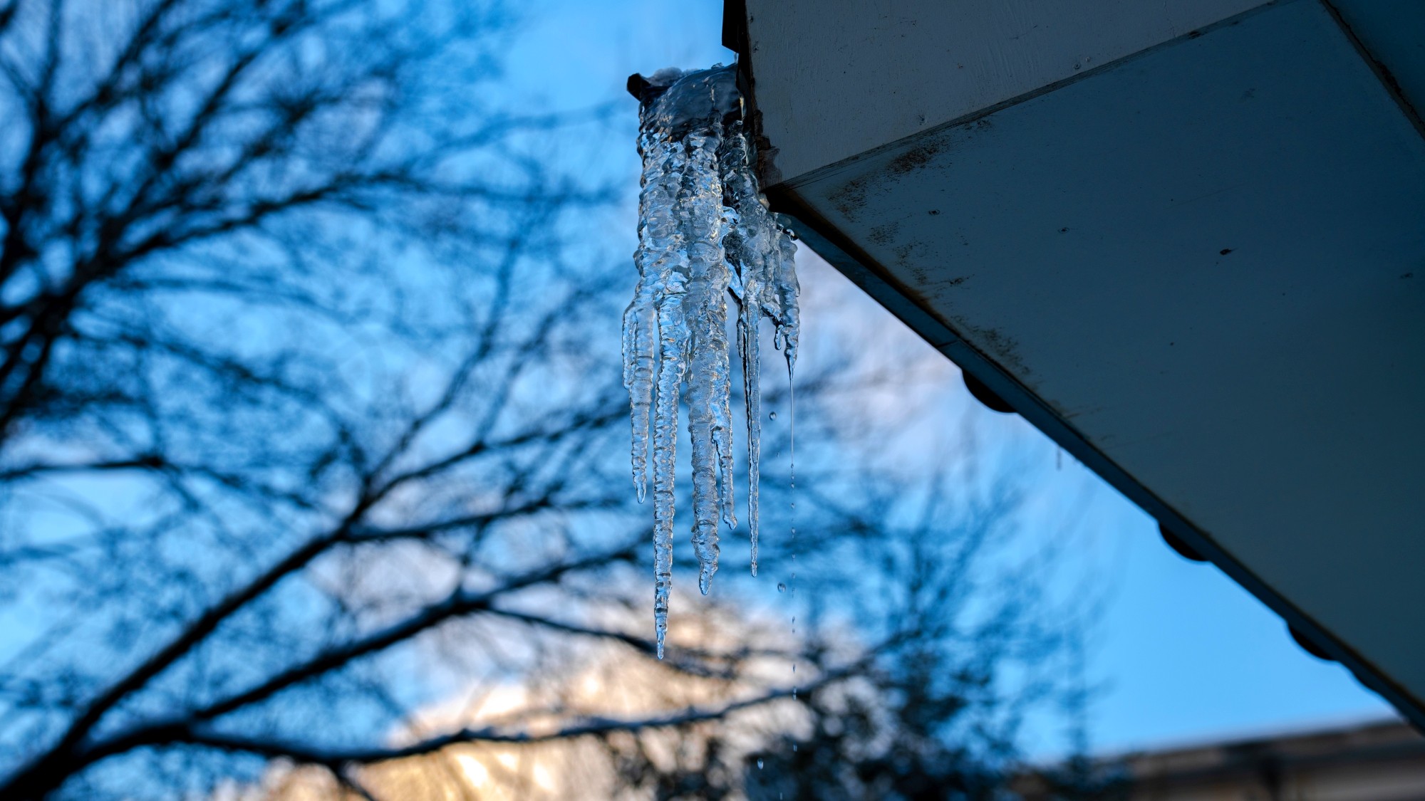 Różne oblicza zimy - zdjęcie 16