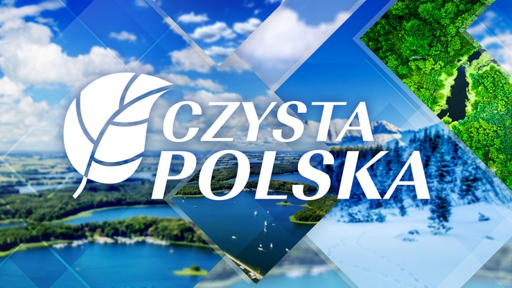 "Czysta Polska". Nowy program w Polsat News poświęcony ochronie środowiska i klimatu