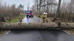 19-11-2024 05:57 Wichura nad Polską. Wiatr powyżej 100 km/h. W tych regionach może nie być prądu