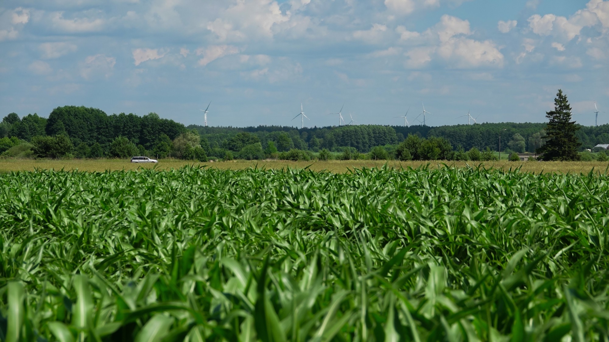 Od morza po góry - zdjęcie 38
