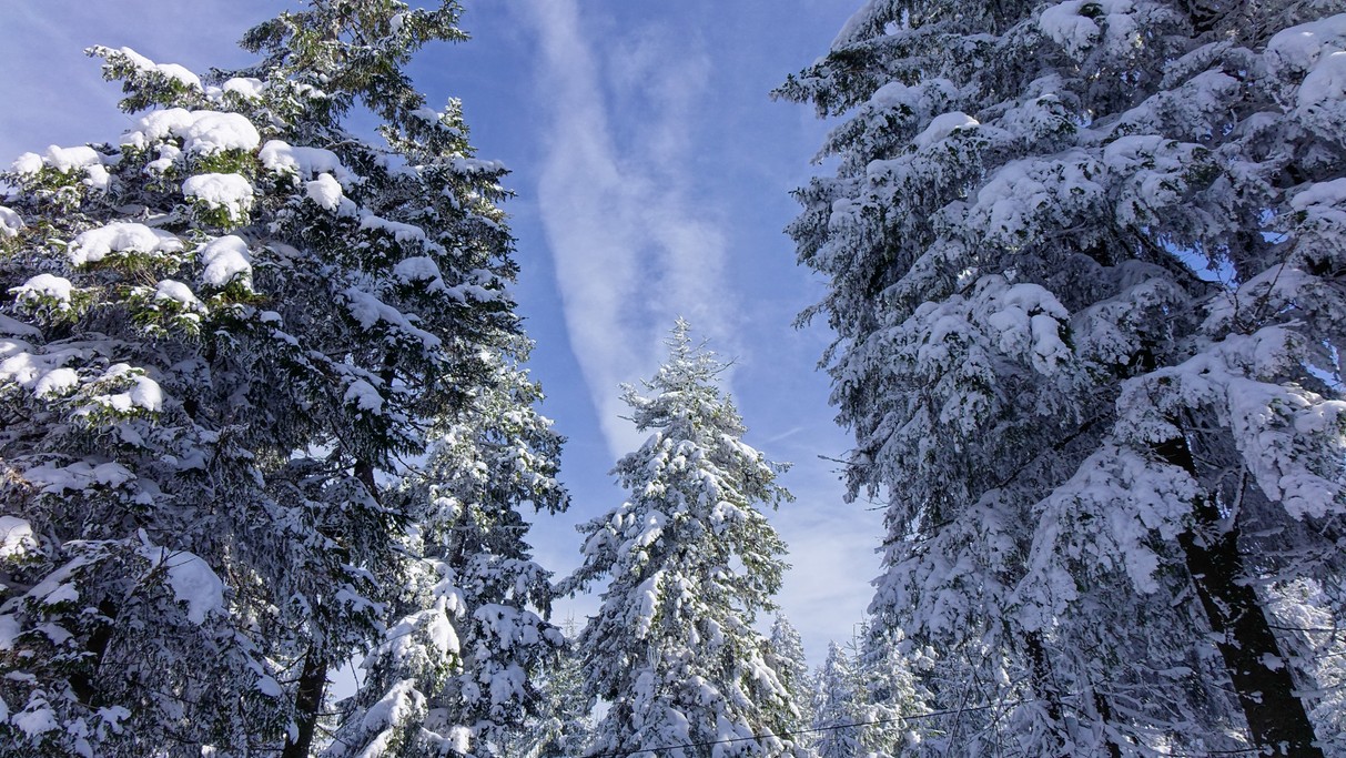 Zima w górach - zdjęcie 39