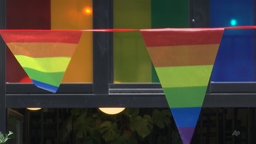 Holenderskie miasto zrywa współpracę z Puławami. Chodzi o "strefy wolne od LGBT"