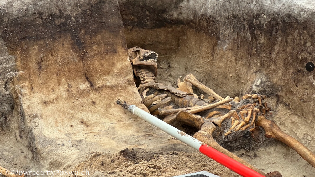 Warszawa: Masowe groby ofiar NKWD na Rembertowie. Szczątki co najmniej 15 osób