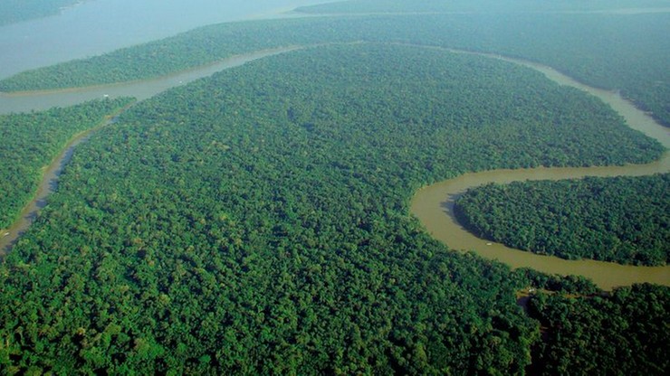 Brazylia. Brytyjski dziennikarz Dom Phillips zaginął w odległych rejonach amazońskiej dżungli