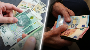 Por&oacute;wnanie polskich złot&oacute;wek i euro w dłoniach