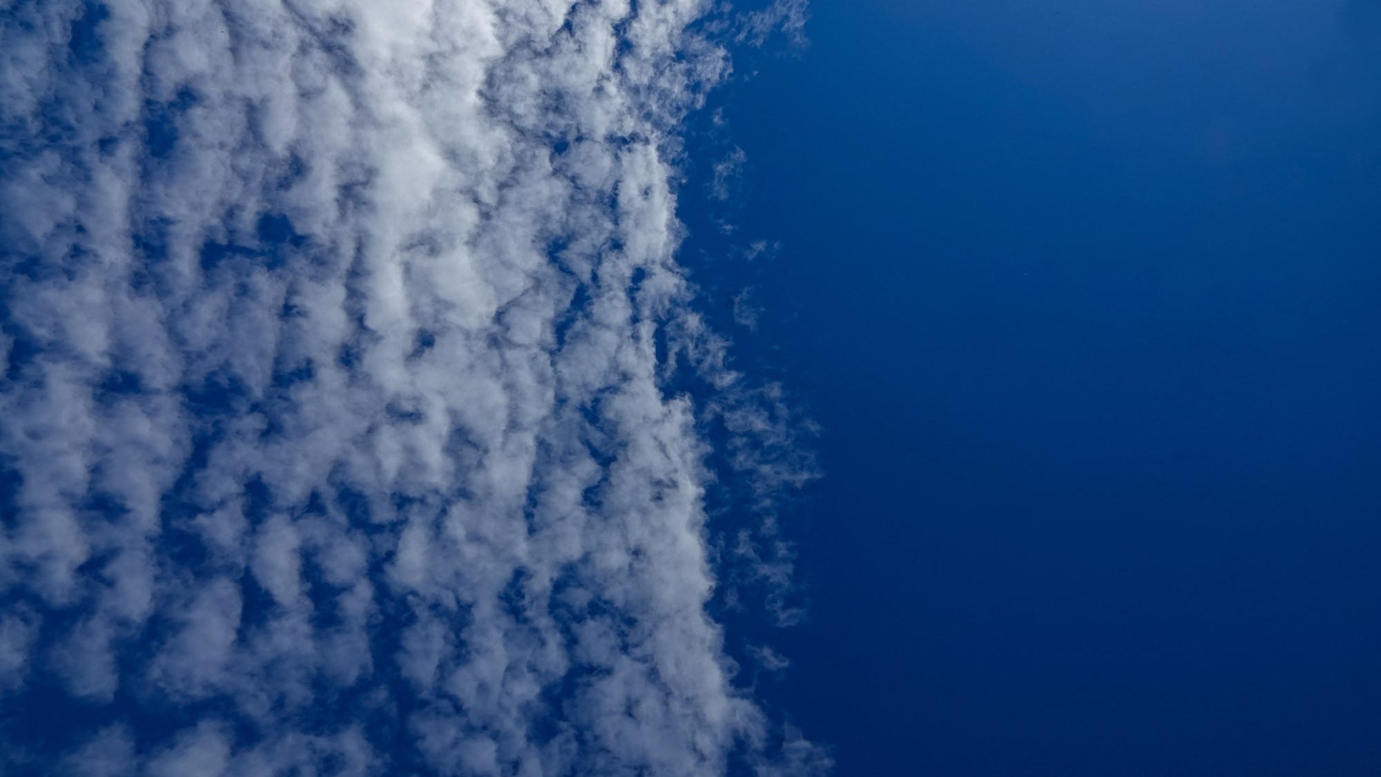 Uroki zielonej pory roku - zdjęcie 37