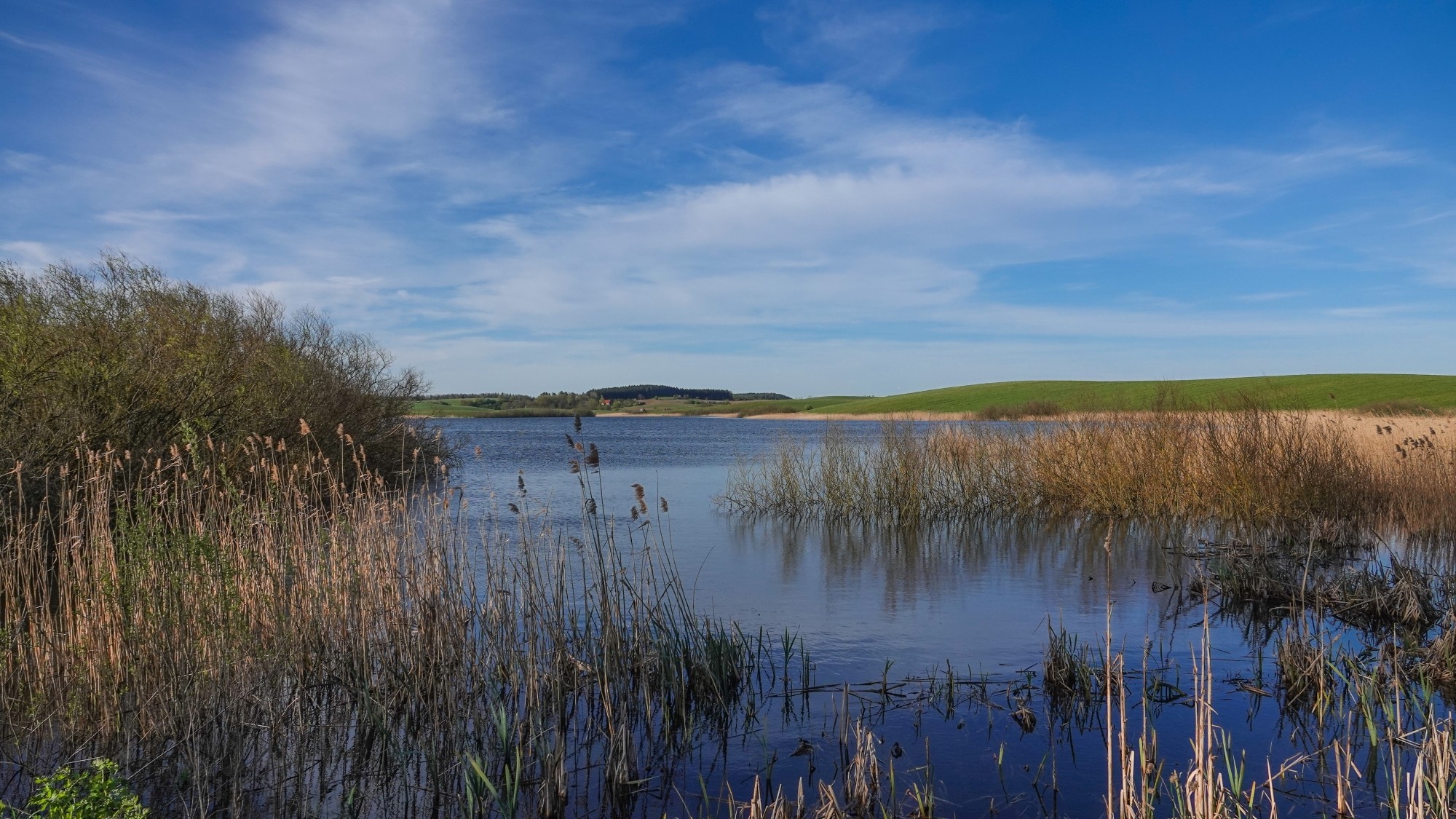 W maju jak w raju - zdjęcie 50