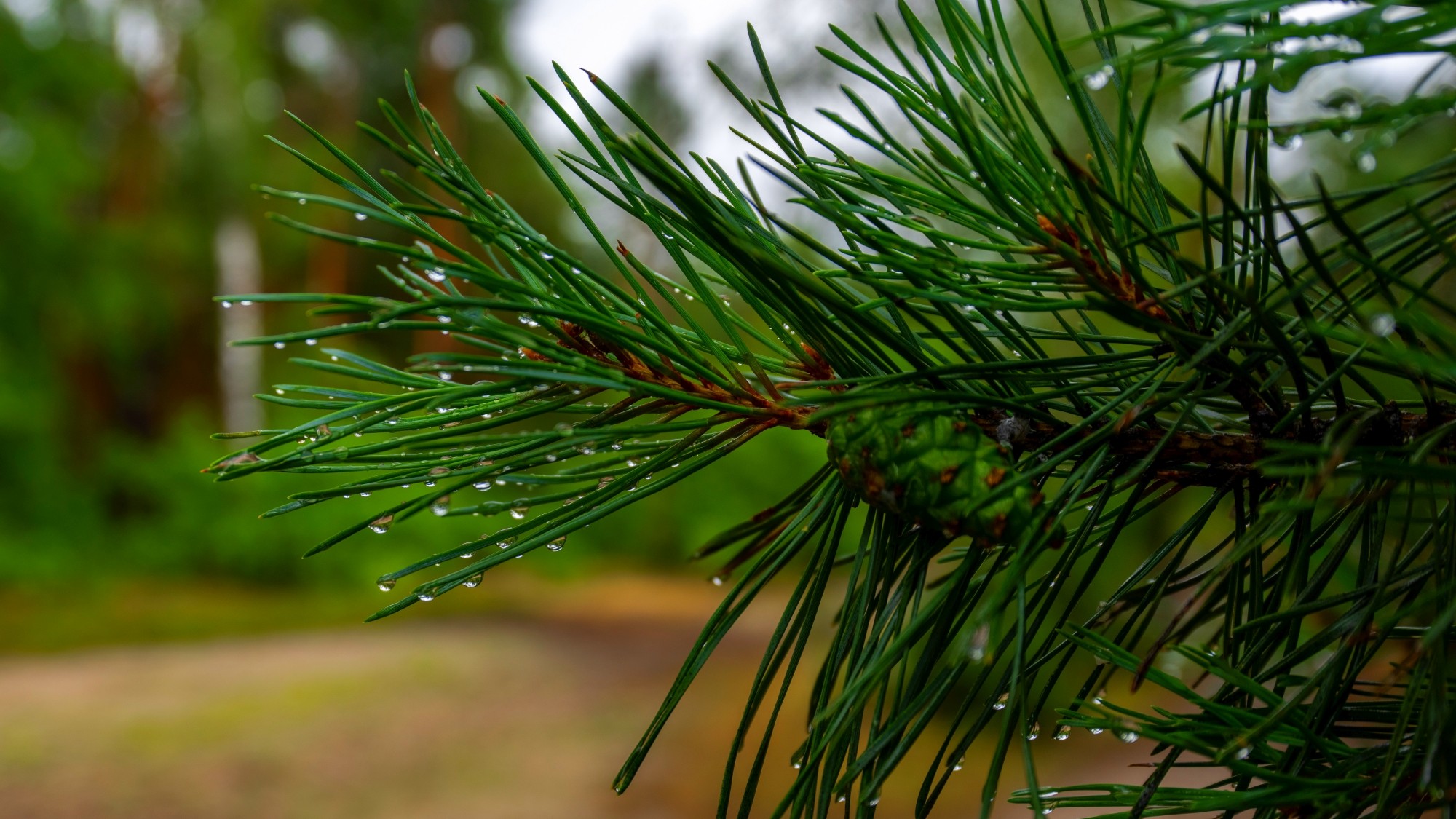 Wśród natury - zdjęcie 42