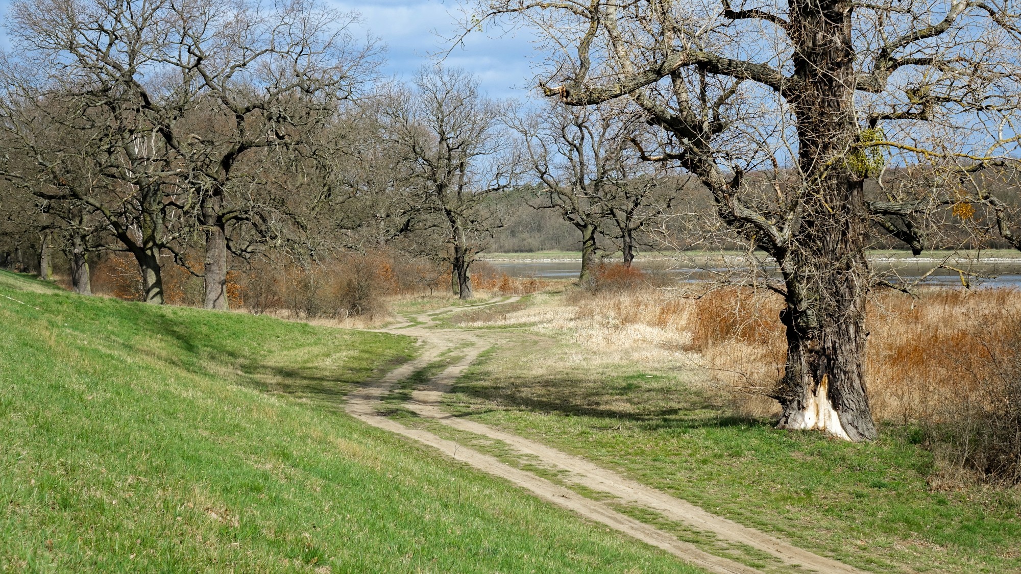 Drogą do raju - zdjęcie 20