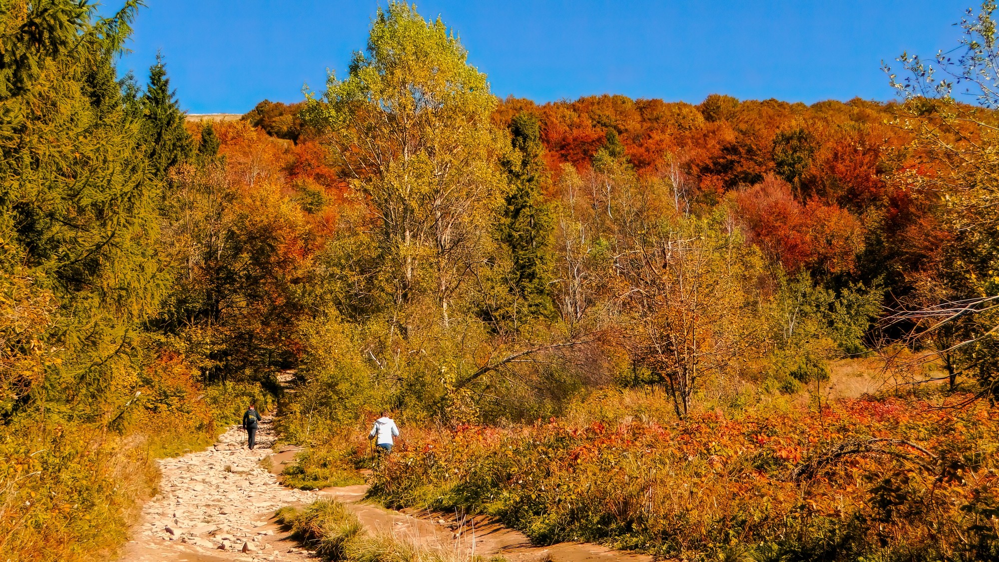 Polska jesienią - zdjęcie 34
