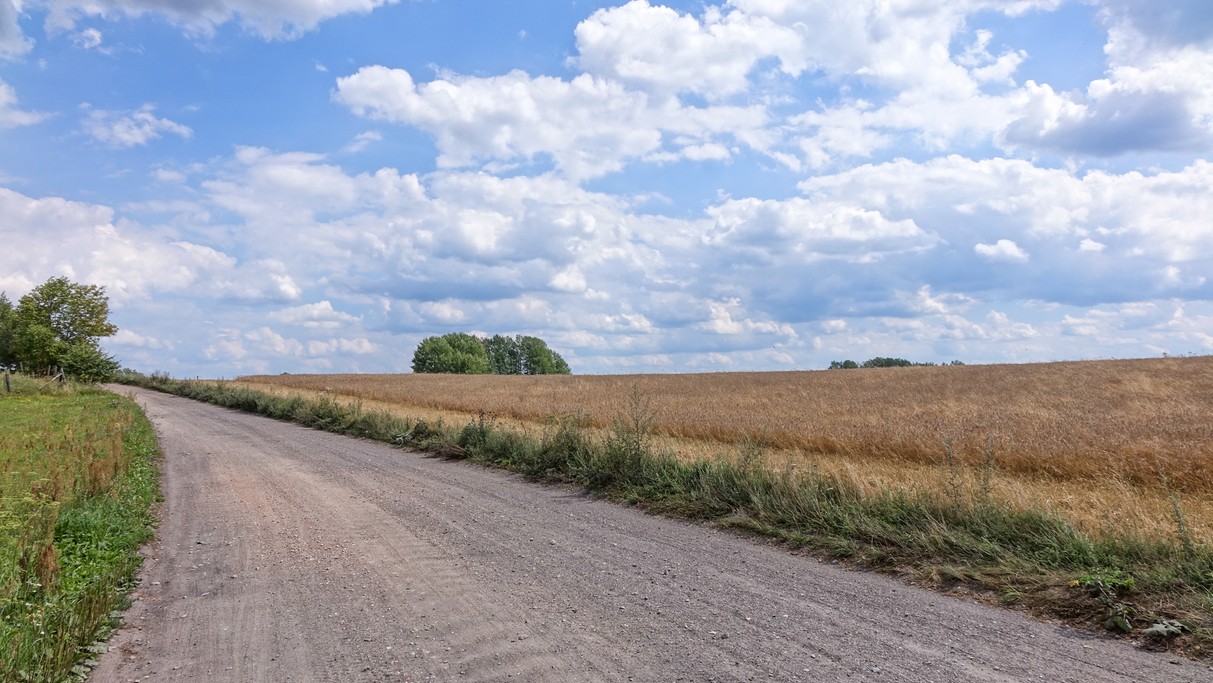 Lipiec w obiektywie - zdjęcie 39