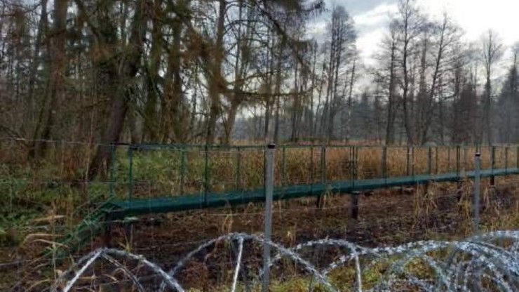Migranci na granicy. Białorusini budują specjalną infrastrukturę. Kładki kierujące ludzi na bagna