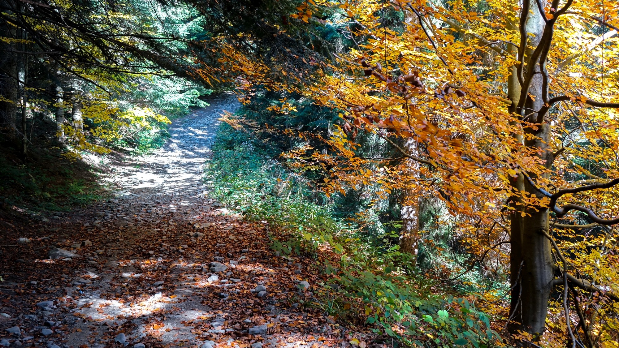 Październik w obiektywie - zdjęcie 17