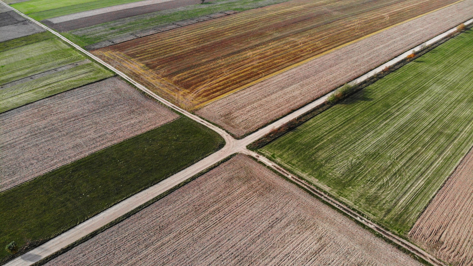 Jesień na nizinach z lotu ptaka - zdjęcie 22