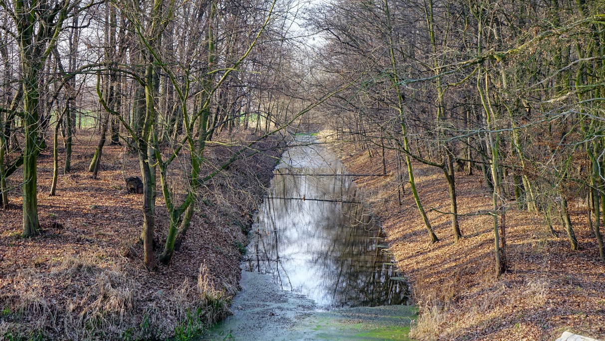 Styczeń w obiektywie - zdjęcie 33